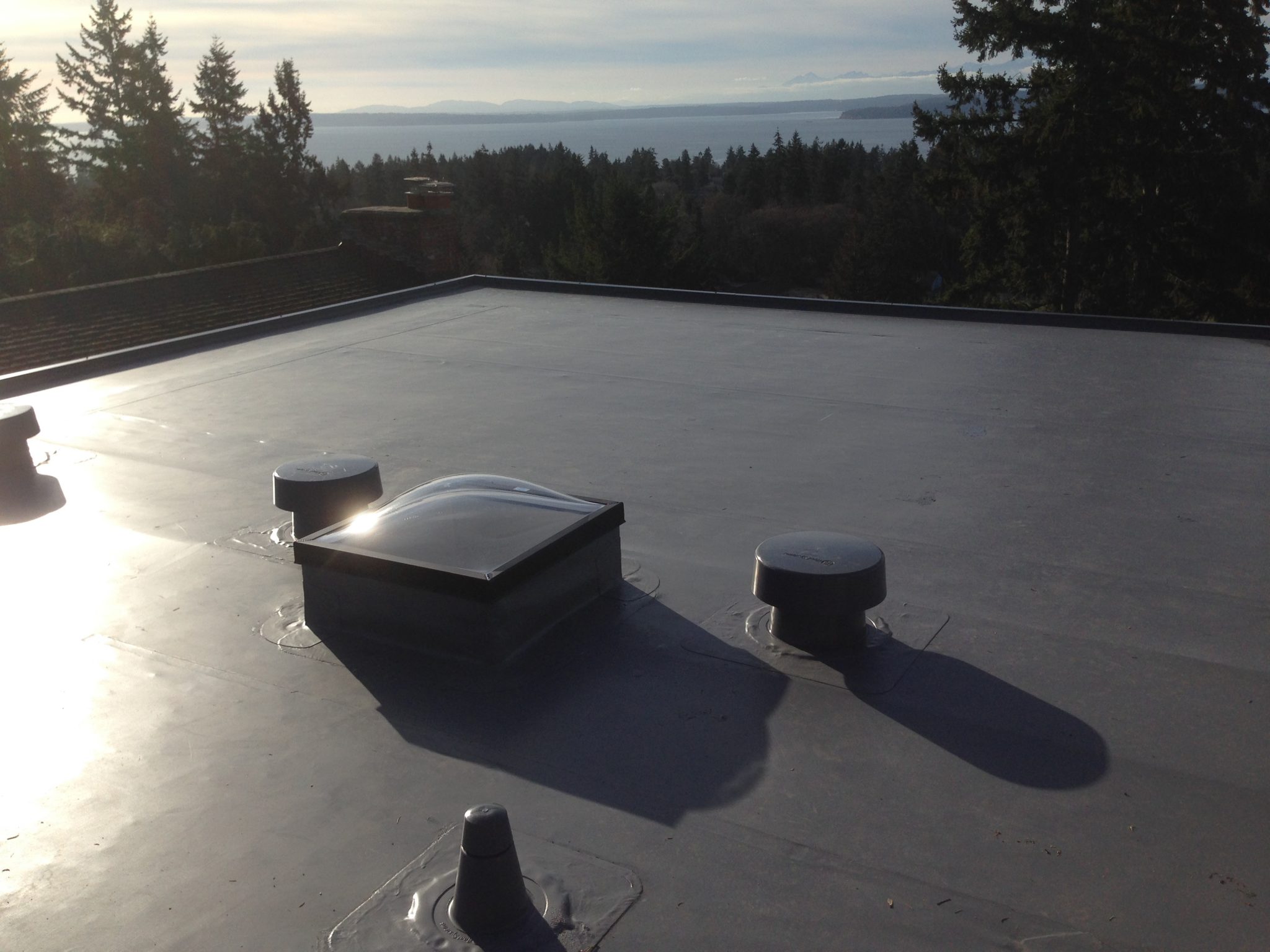 How Can You Repair a Flat Roof Quickly and Safely?