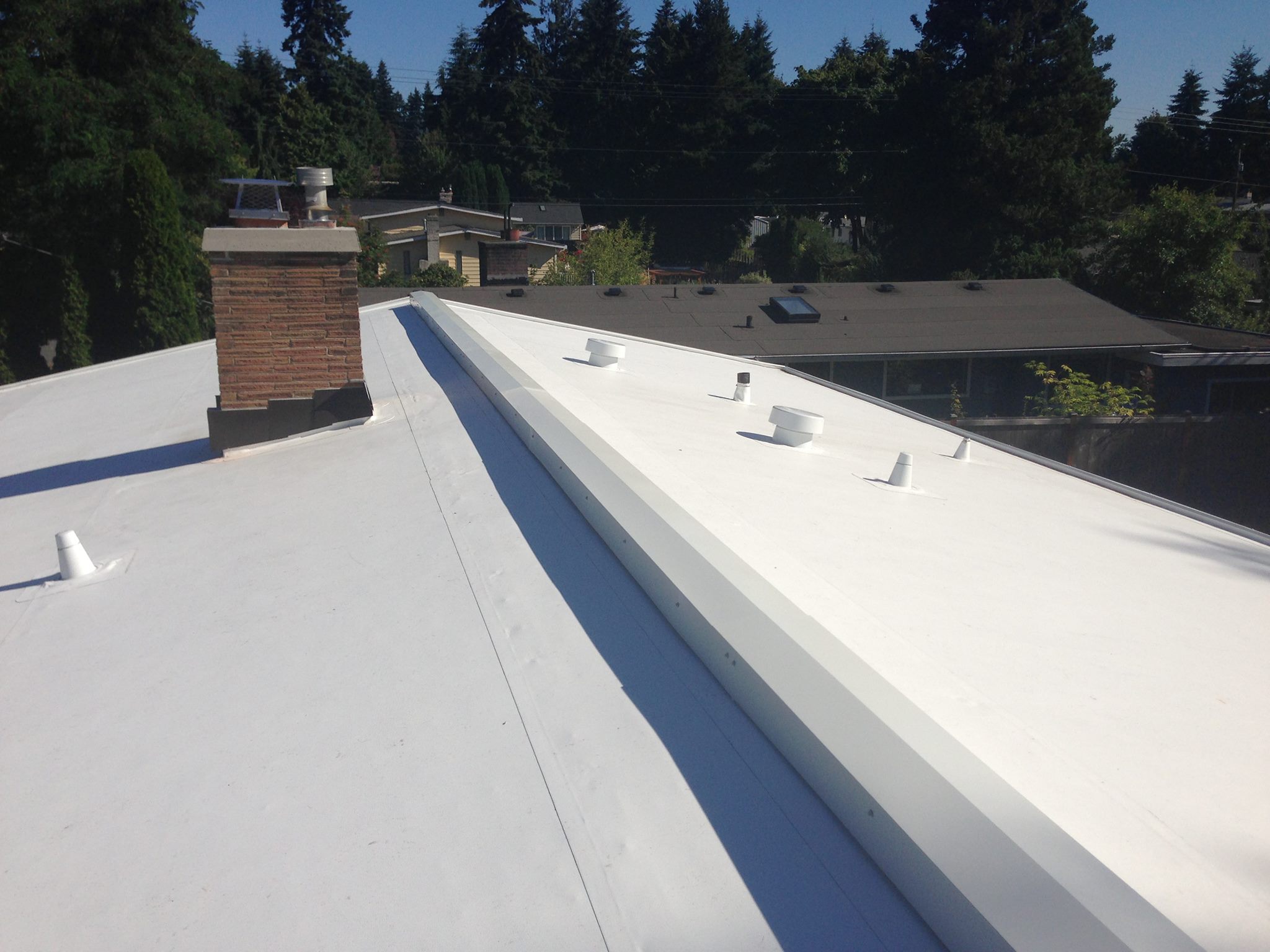 pinnacle roofing professionals